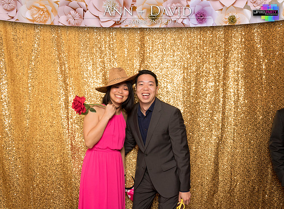 60148 - Ann + David Wedding Photobooth 2017