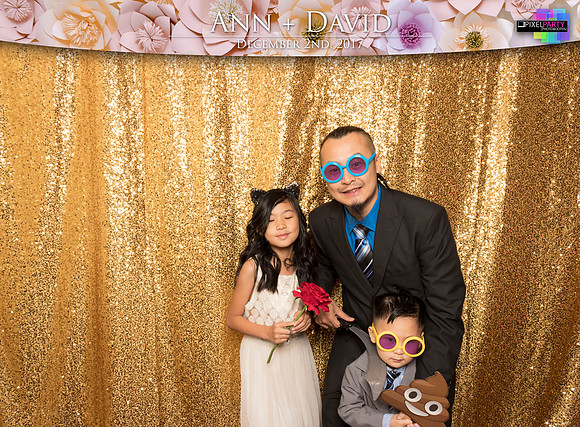 60244 - Ann + David Wedding Photobooth 2017