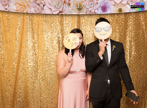 60175 - Ann + David Wedding Photobooth 2017