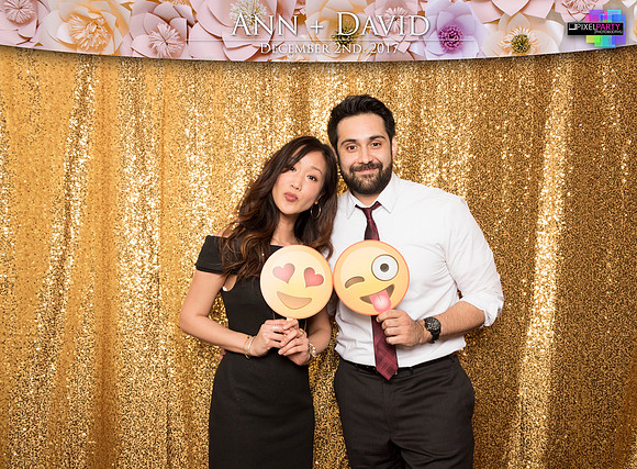 60223 - Ann + David Wedding Photobooth 2017