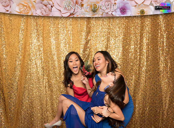 60129 - Ann + David Wedding Photobooth 2017