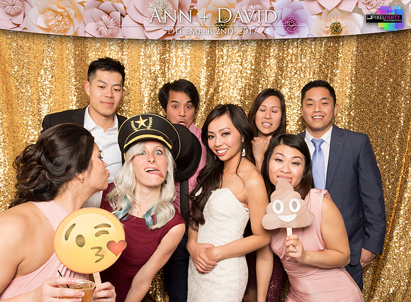 60540 - Ann + David Wedding Photobooth 2017