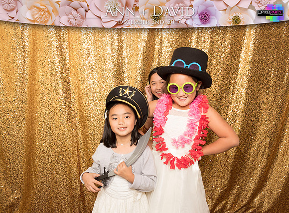 60398 - Ann + David Wedding Photobooth 2017