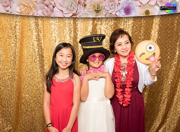 60390 - Ann + David Wedding Photobooth 2017