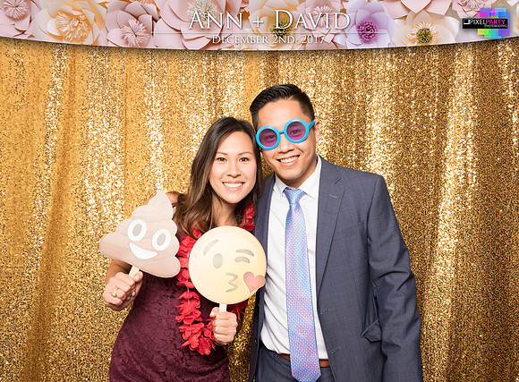 60485 - Ann + David Wedding Photobooth 2017