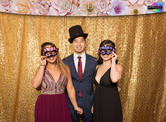 60077 - Ann + David Wedding Photobooth 2017