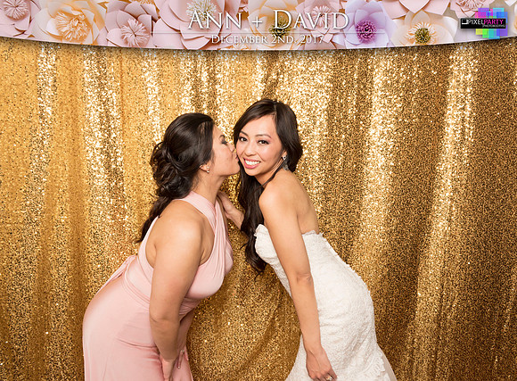 60522 - Ann + David Wedding Photobooth 2017