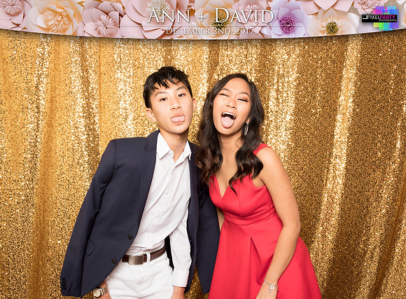60393 - Ann + David Wedding Photobooth 2017