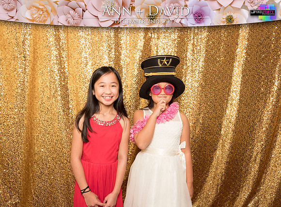 60391 - Ann + David Wedding Photobooth 2017