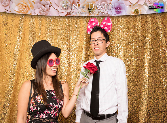 60413 - Ann + David Wedding Photobooth 2017