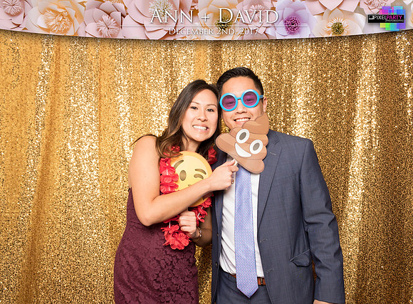 60486 - Ann + David Wedding Photobooth 2017