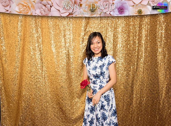 60094 - Ann + David Wedding Photobooth 2017