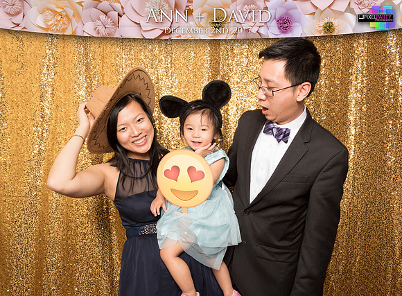 60267 - Ann + David Wedding Photobooth 2017