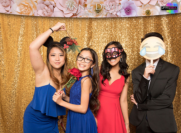 60143 - Ann + David Wedding Photobooth 2017