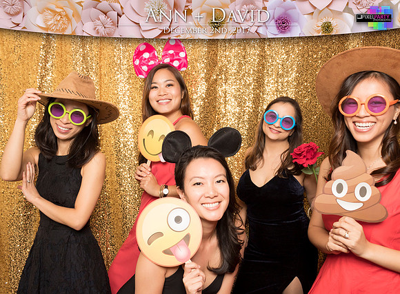 60215 - Ann + David Wedding Photobooth 2017