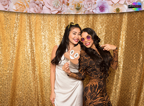 60396 - Ann + David Wedding Photobooth 2017