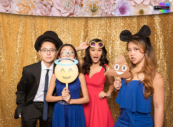60141 - Ann + David Wedding Photobooth 2017
