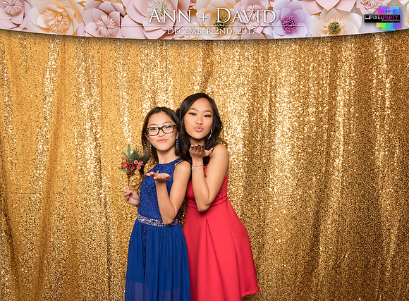 60126 - Ann + David Wedding Photobooth 2017
