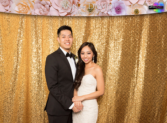 60239 - Ann + David Wedding Photobooth 2017