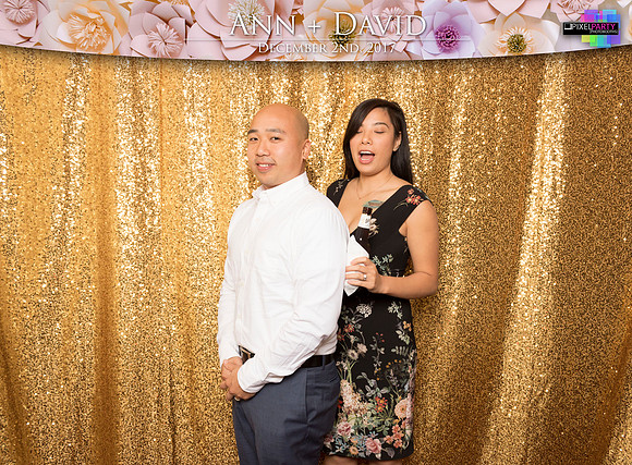 60264 - Ann + David Wedding Photobooth 2017