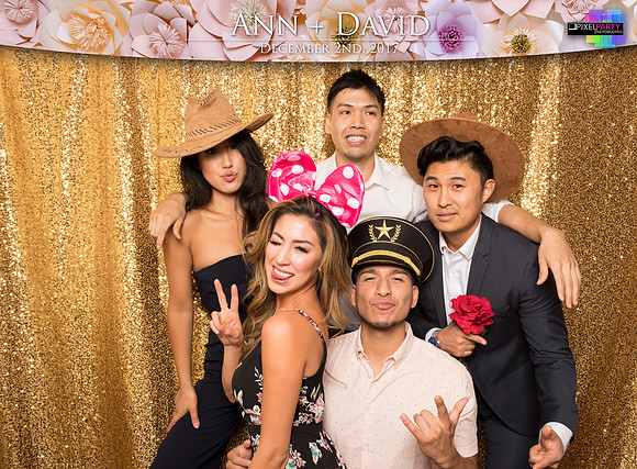 60530 - Ann + David Wedding Photobooth 2017