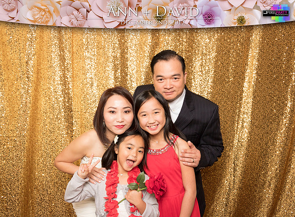 60385 - Ann + David Wedding Photobooth 2017