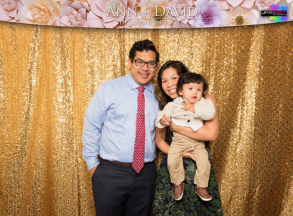 60194 - Ann + David Wedding Photobooth 2017
