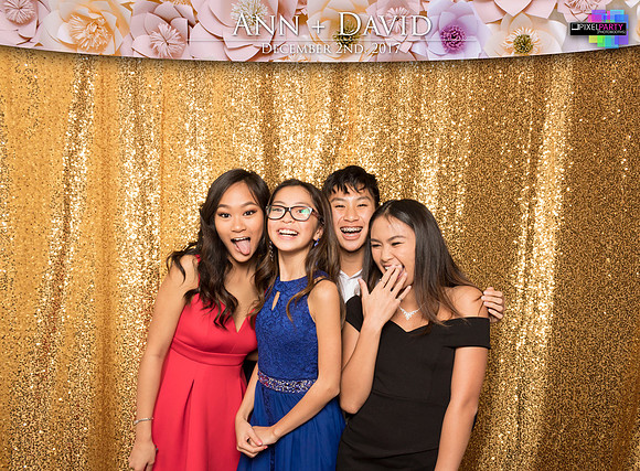 60232 - Ann + David Wedding Photobooth 2017