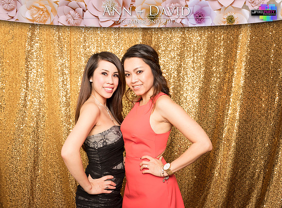 60355 - Ann + David Wedding Photobooth 2017