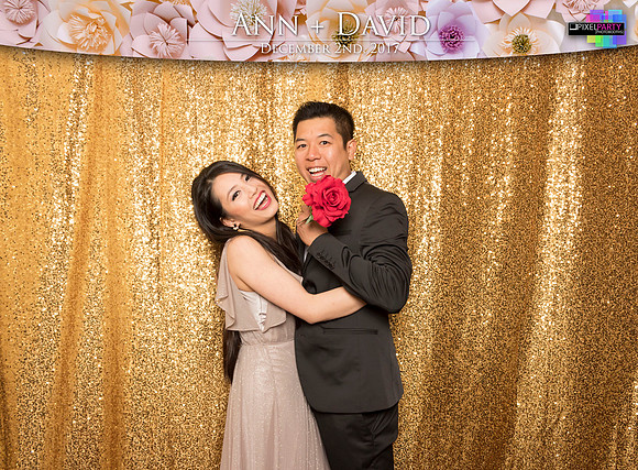 60180 - Ann + David Wedding Photobooth 2017