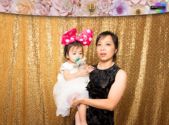 60333 - Ann + David Wedding Photobooth 2017