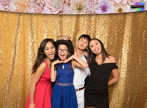 60231 - Ann + David Wedding Photobooth 2017