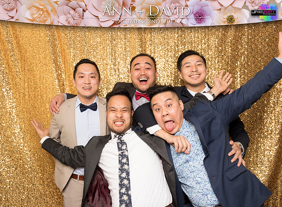 60484 - Ann + David Wedding Photobooth 2017
