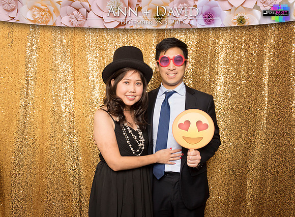 60443 - Ann + David Wedding Photobooth 2017