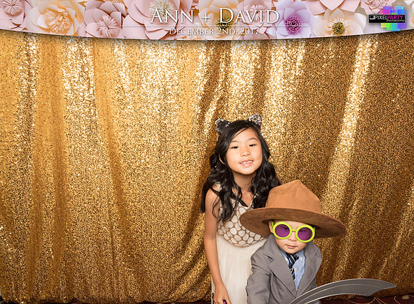 60339 - Ann + David Wedding Photobooth 2017