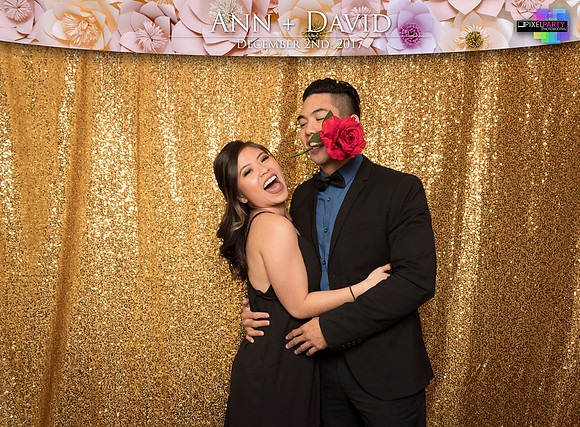 60064 - Ann + David Wedding Photobooth 2017