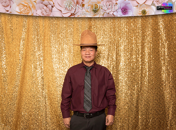 60114 - Ann + David Wedding Photobooth 2017