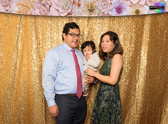 60196 - Ann + David Wedding Photobooth 2017