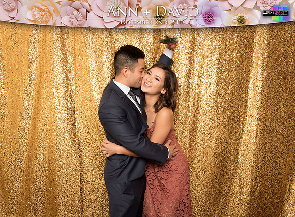 60202 - Ann + David Wedding Photobooth 2017