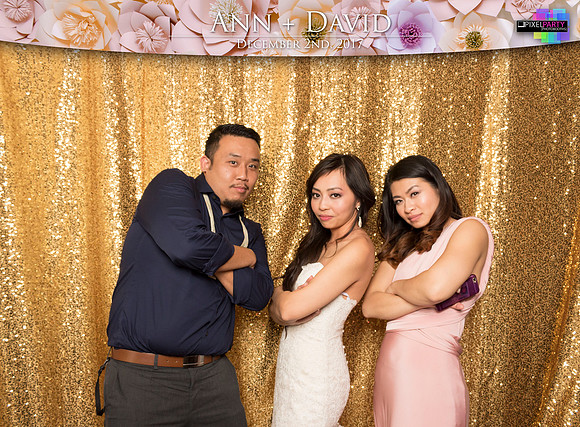 60543 - Ann + David Wedding Photobooth 2017