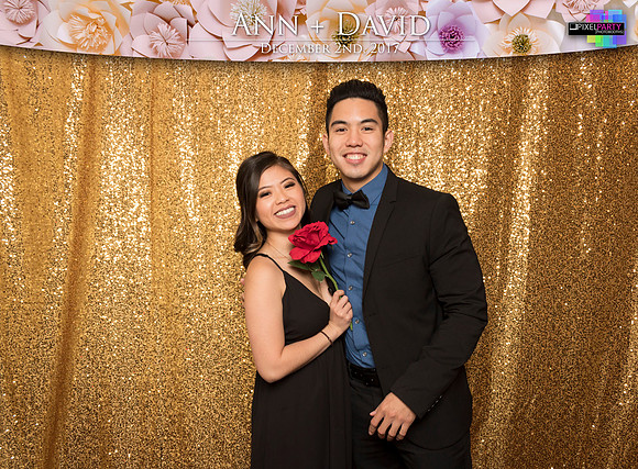 60063 - Ann + David Wedding Photobooth 2017