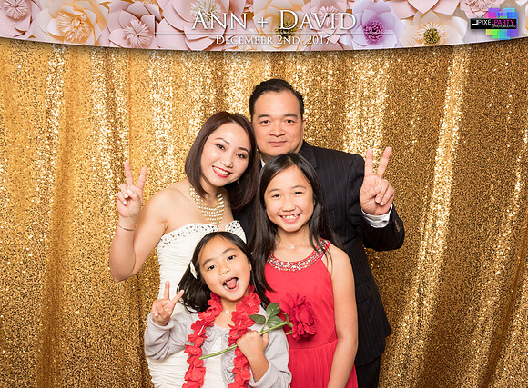 60384 - Ann + David Wedding Photobooth 2017