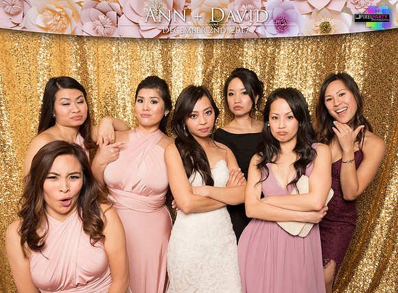 60553 - Ann + David Wedding Photobooth 2017