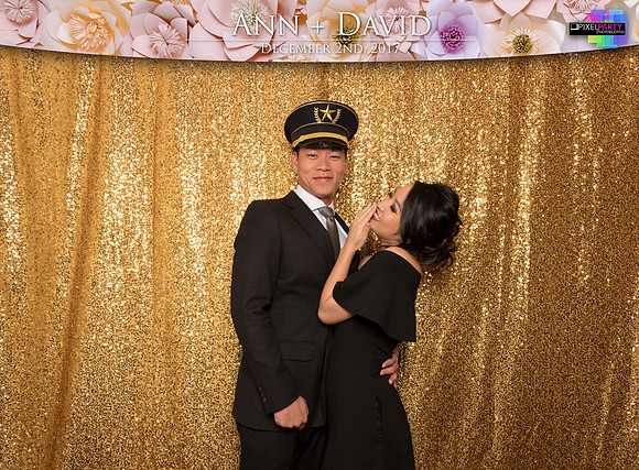 60042 - Ann + David Wedding Photobooth 2017