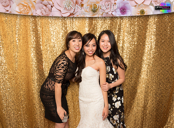 60527 - Ann + David Wedding Photobooth 2017