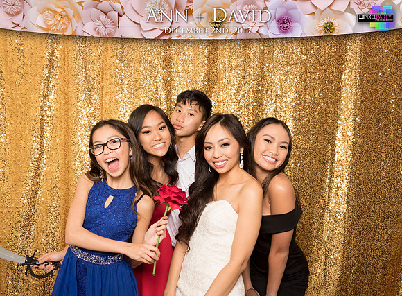 60234 - Ann + David Wedding Photobooth 2017