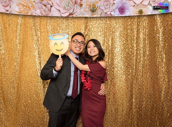 60150 - Ann + David Wedding Photobooth 2017