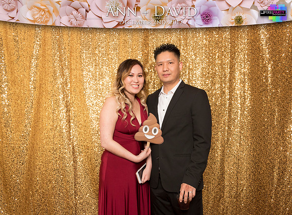 60163 - Ann + David Wedding Photobooth 2017