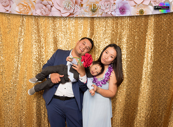 60261 - Ann + David Wedding Photobooth 2017