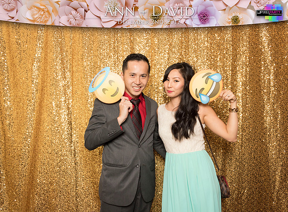 60103 - Ann + David Wedding Photobooth 2017
